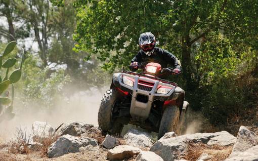 Honda Fourtrax Foreman