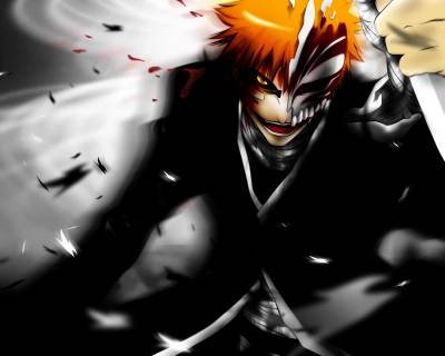 bleach kurosaki ichigo