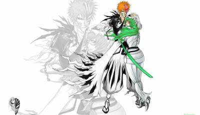 bleach kurosaki ichigo nel tu white